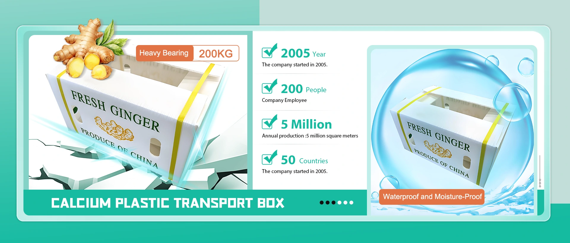 China calcium plastic transportdoos fabrikant
