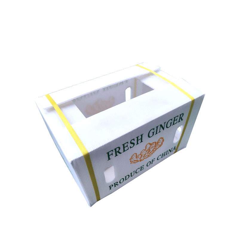 Hoe kies ik fruitoverdrachtskisten?