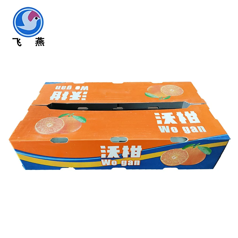 Fruit calcium plastic omzetdoos